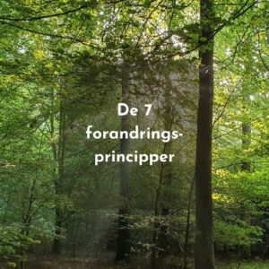 De 7 forandringsprincipper i psykoterapi