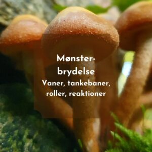 Mønsterafbrydelse - vaner, tankemønstre, roller, reaktioner kan forandres gennem psykoterapi