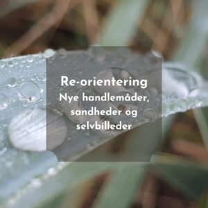 re-orientering - nye handlemåder, sandheder og selvbilleder